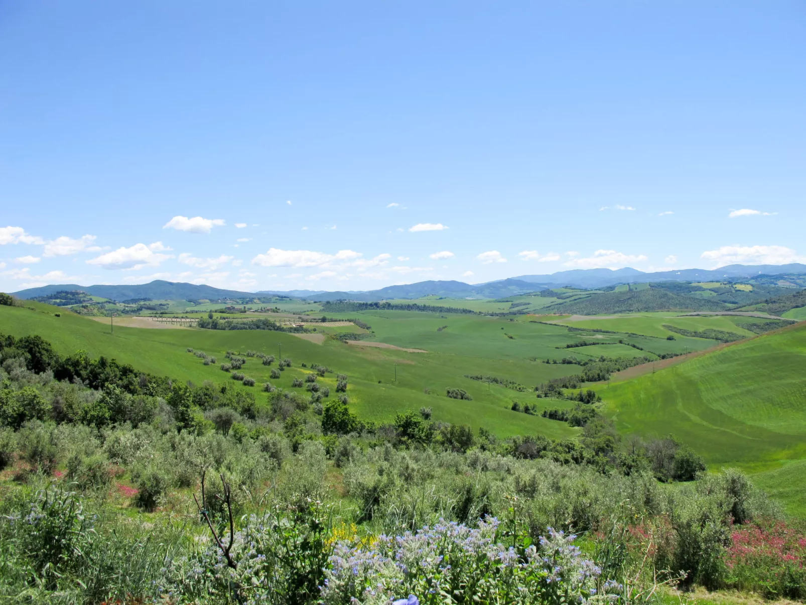 Santa Enerichetta-Area