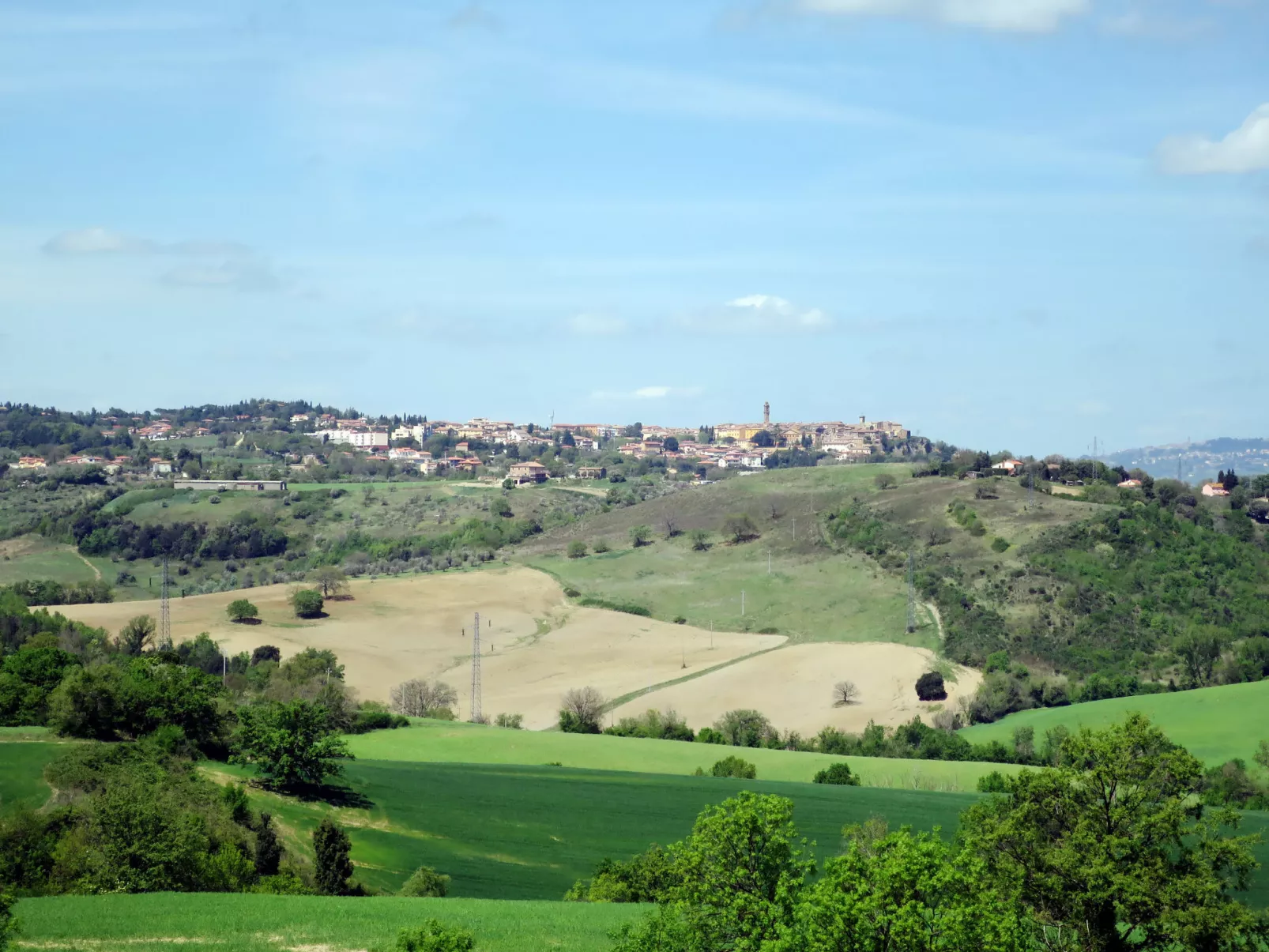 Podere Sant'Elisa-Area