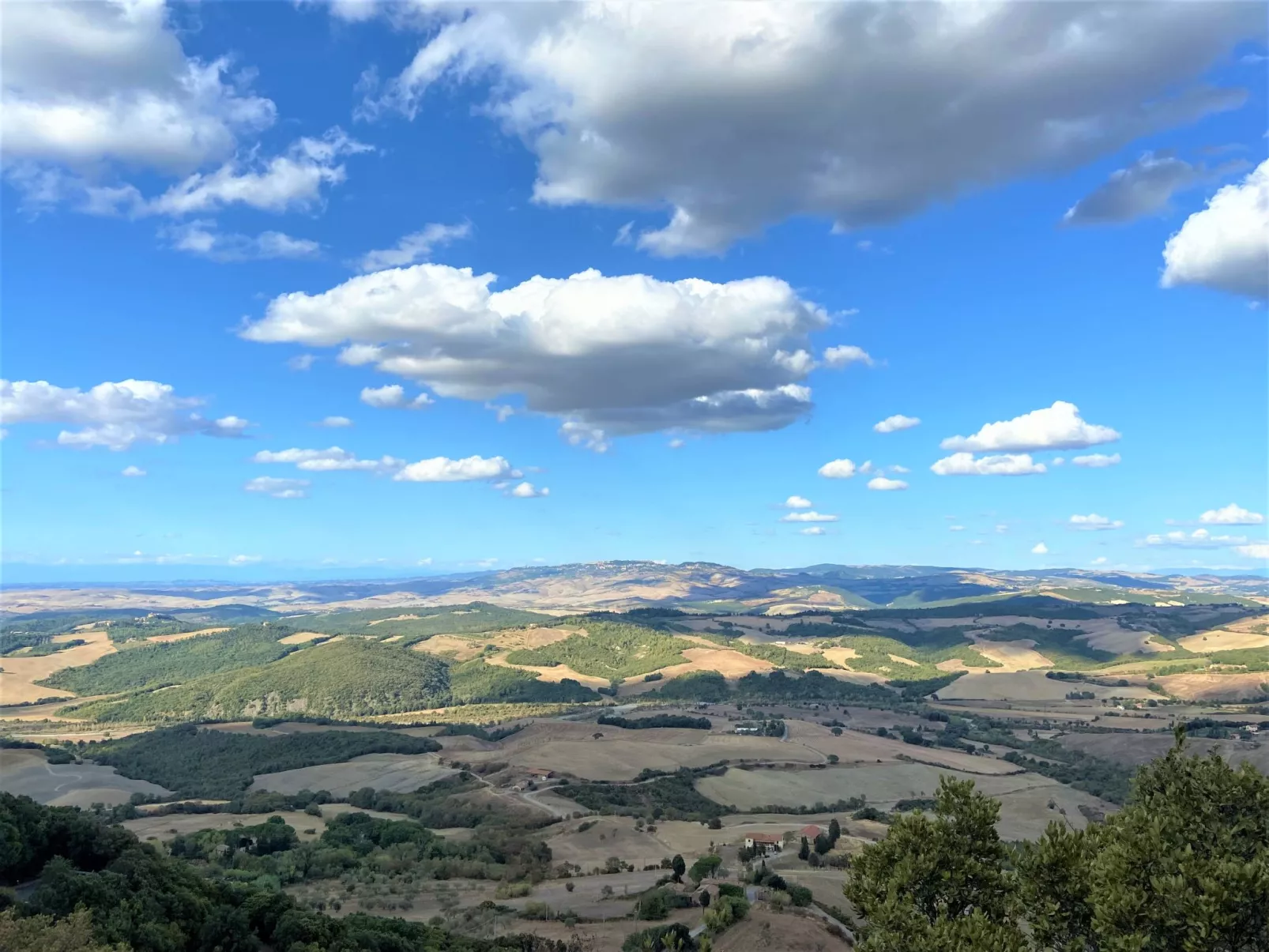 Podere Sant'Elisa-Area