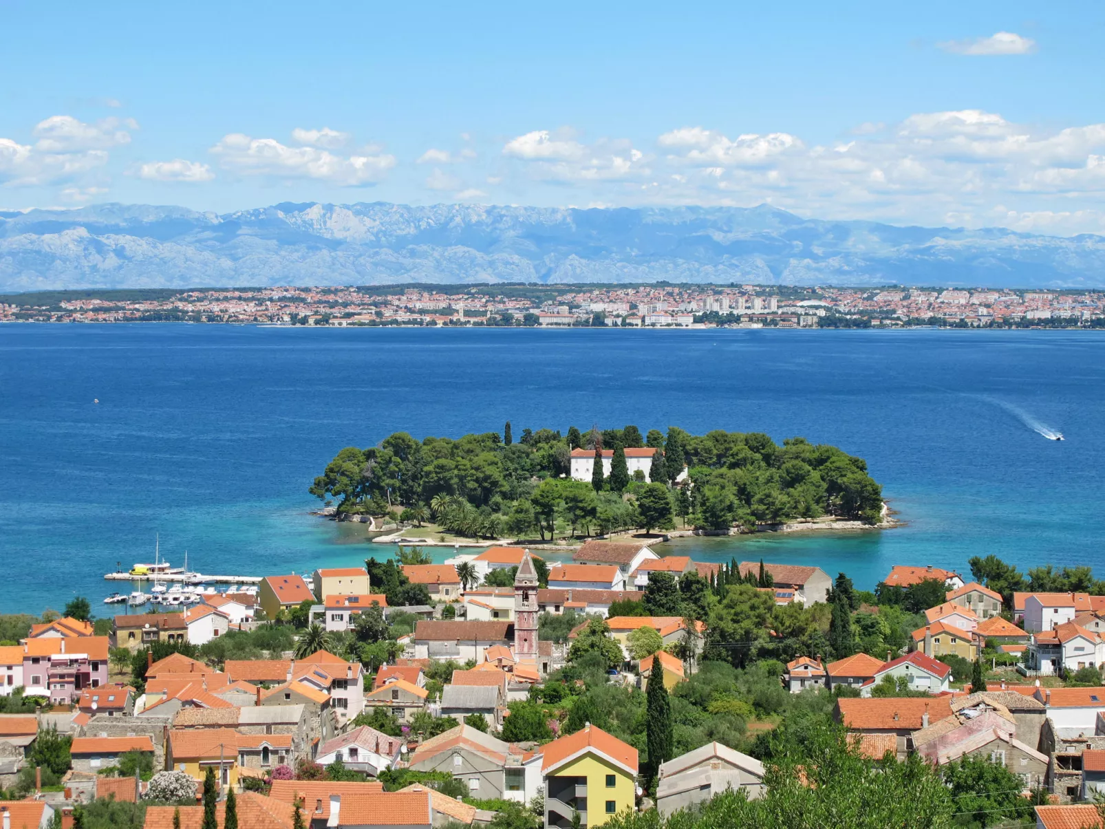 Marija-Area