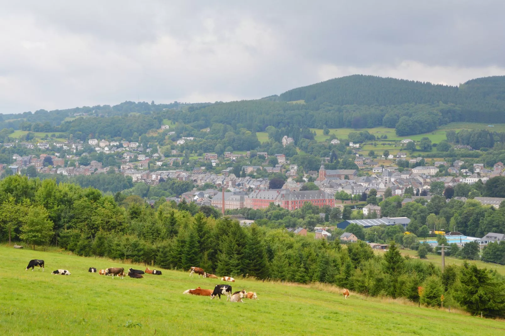 Schell-Gebiete Sommer 20 km