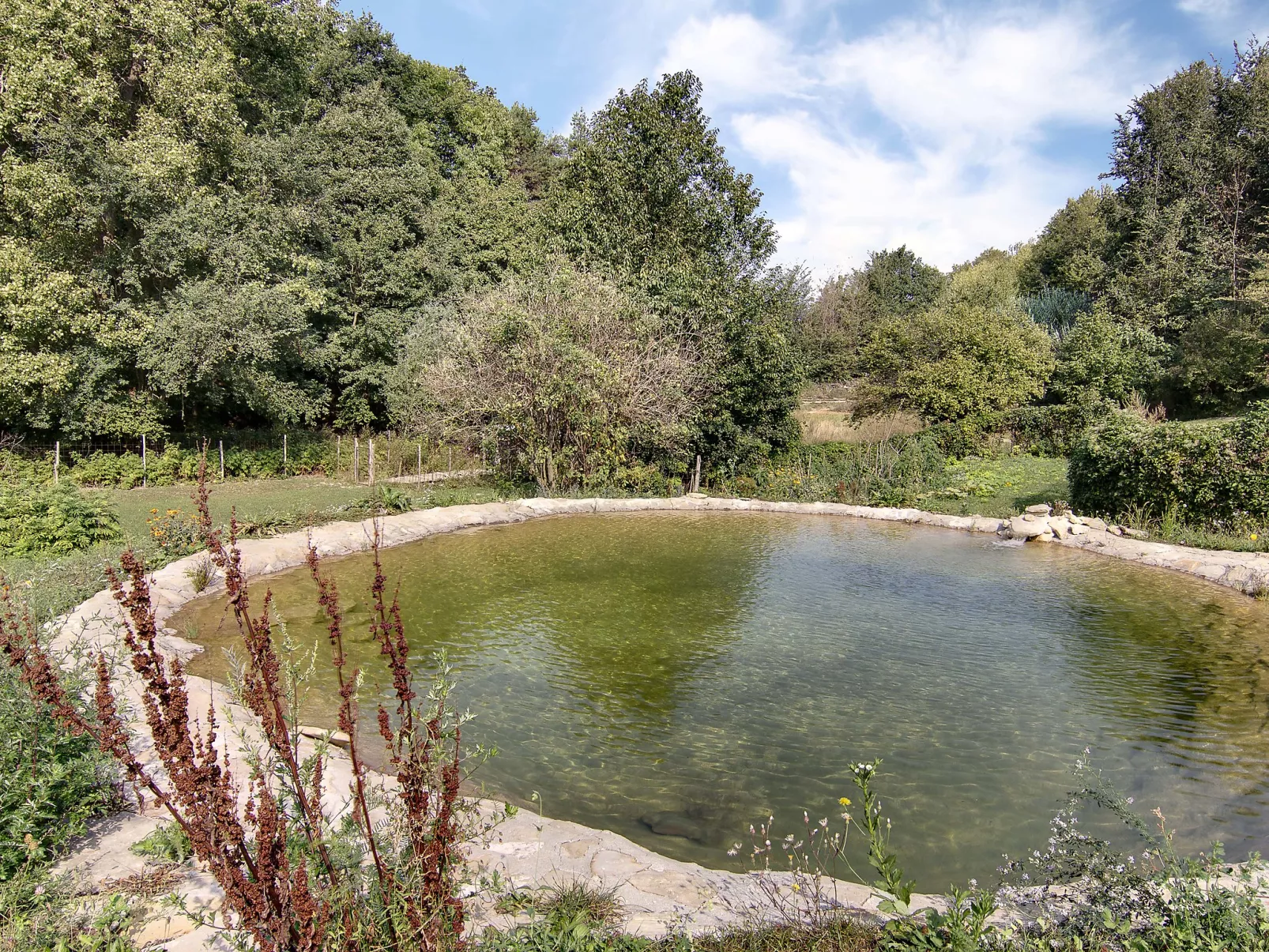 Borgo del Riondino-Outside