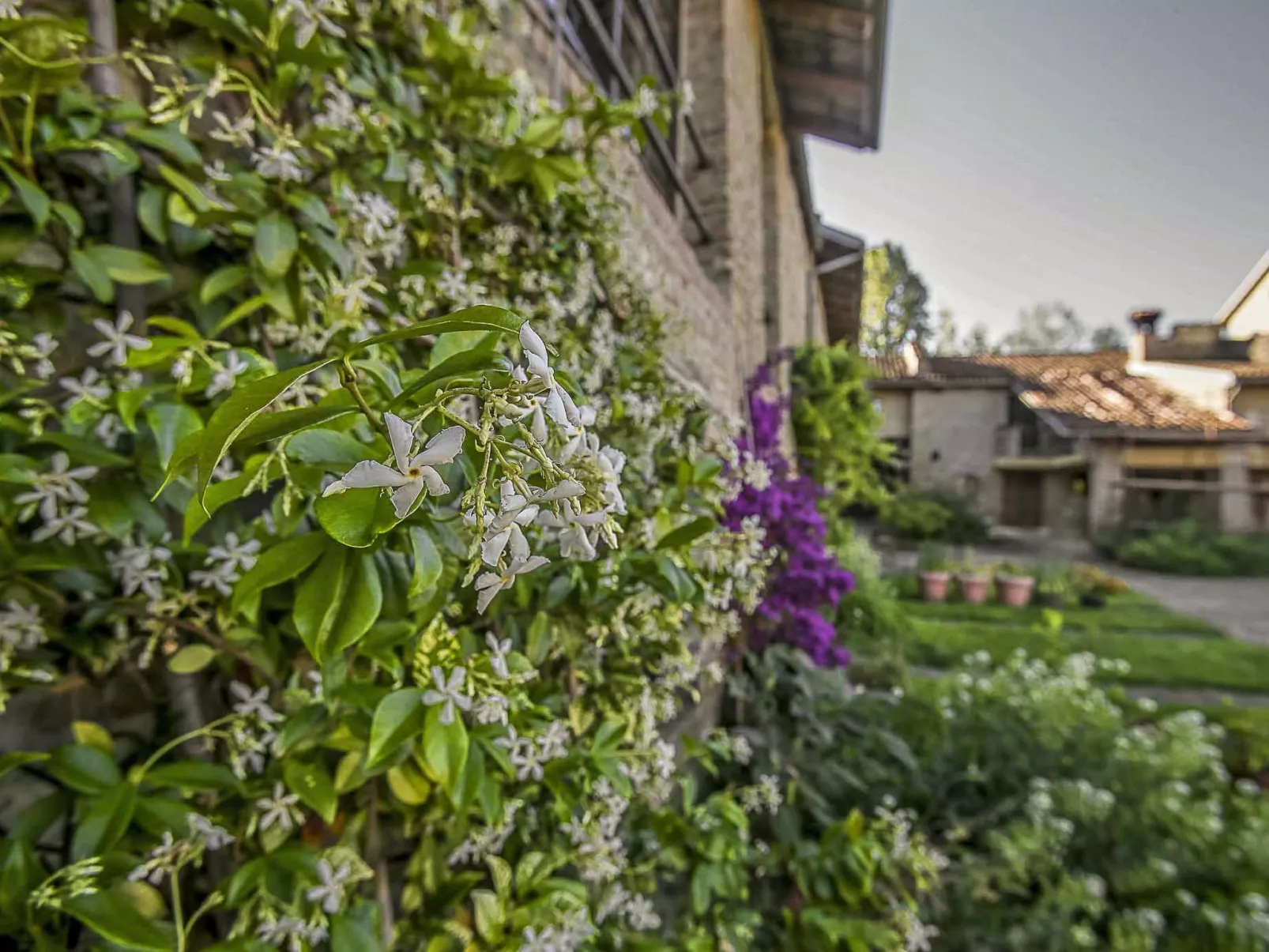 Borgo del Riondino-Inside