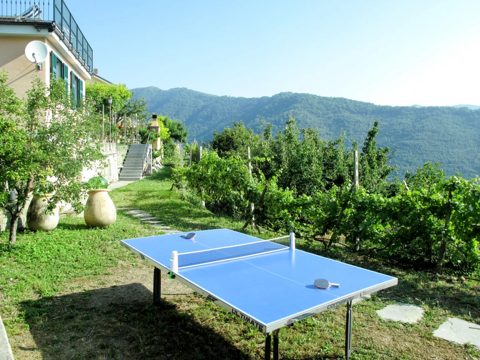 Oleandro (VLO202)-Outside