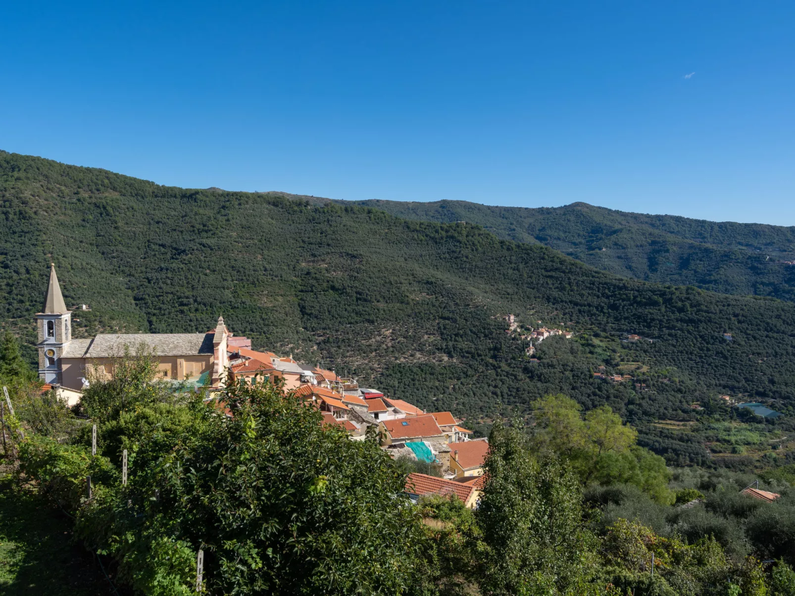 Oleandro (VLO202)-Area
