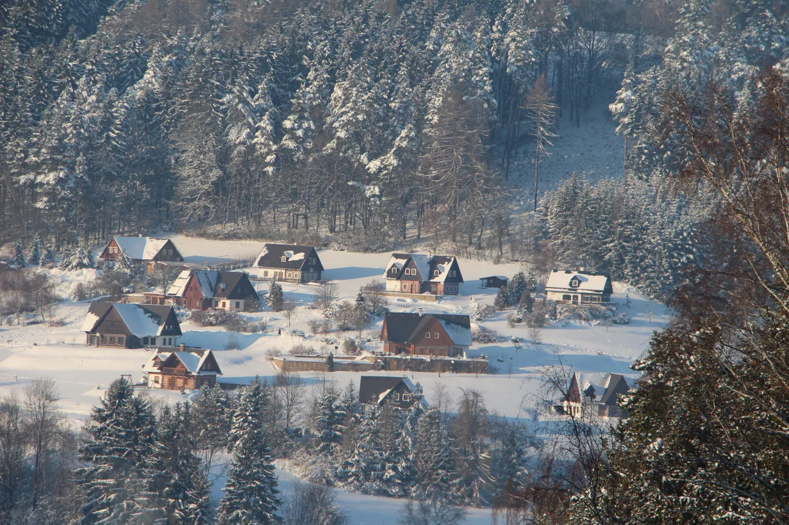 Dana-Area winter 1km