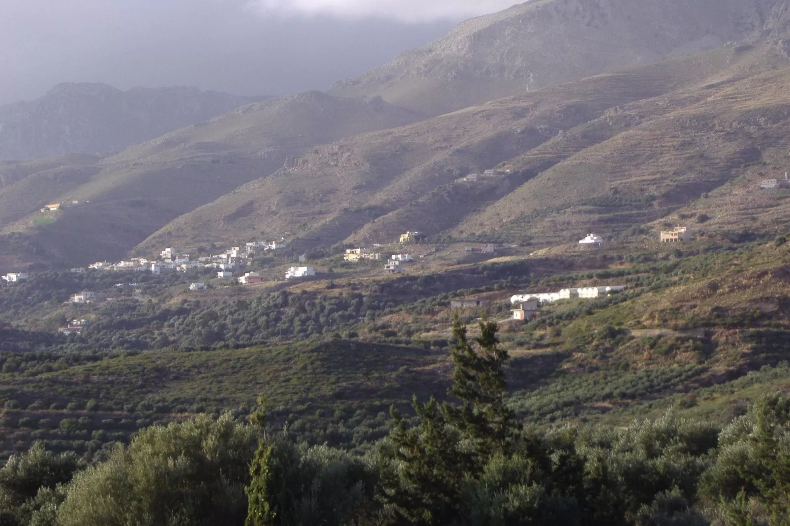 Villa Thymari-View summer