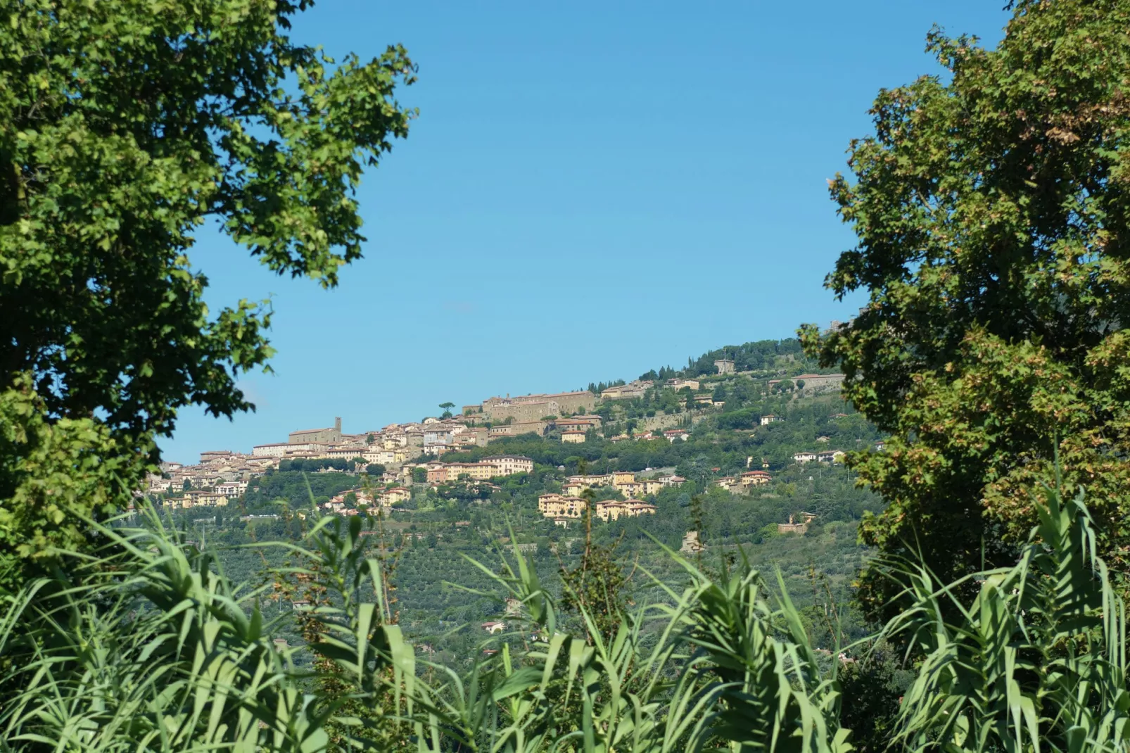Loggia-Vue d'été