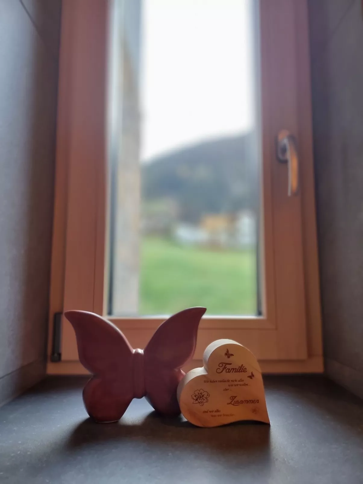 Leo-Drinnen