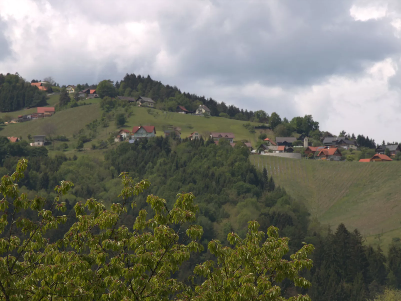 Ligist-Area