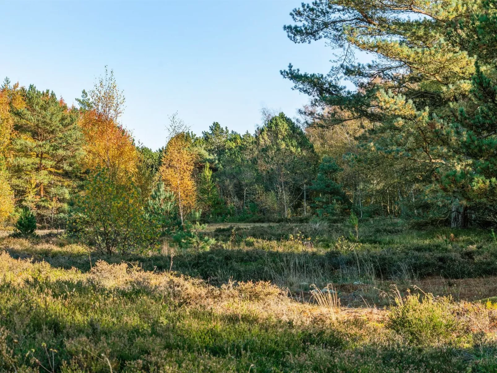 "Helmtrud" - 500m from the sea-Outside
