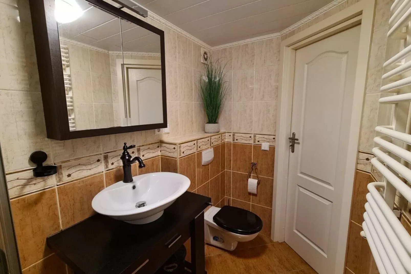 Recreatiepark Rhederlaagse Meren 1-Bathroom