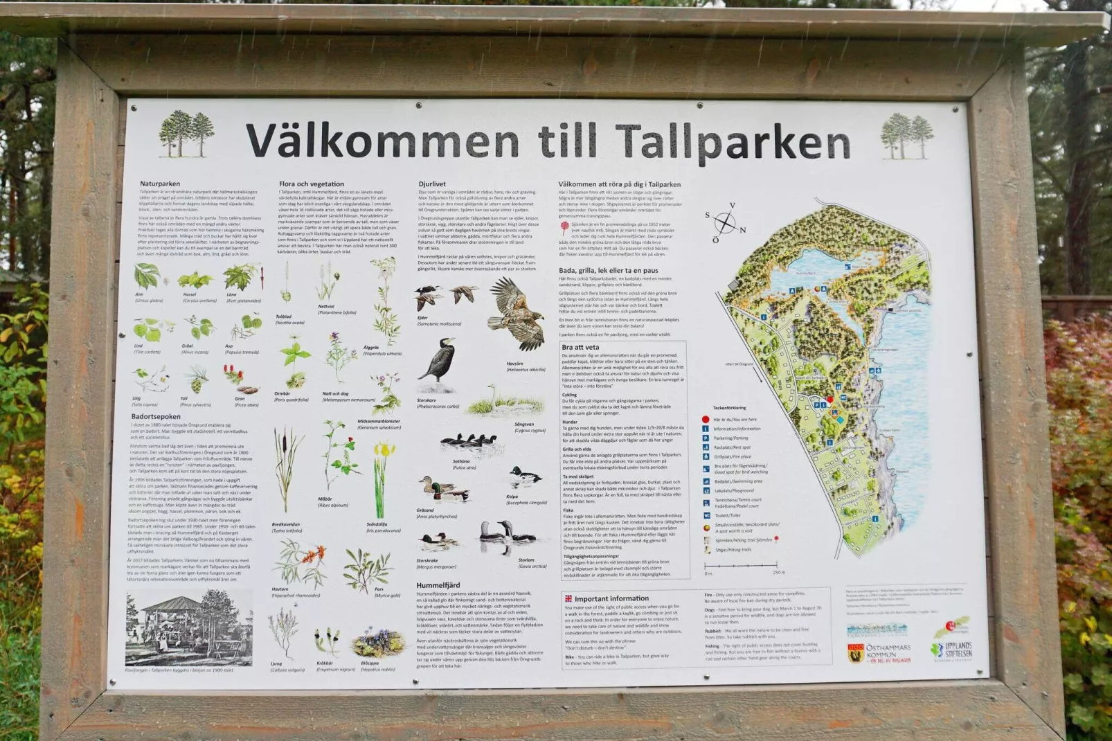 4 person holiday home in ÖREGRUND-Not tagged