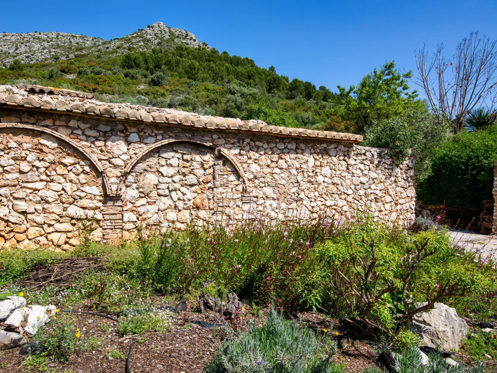 Villa Mandana-Outside