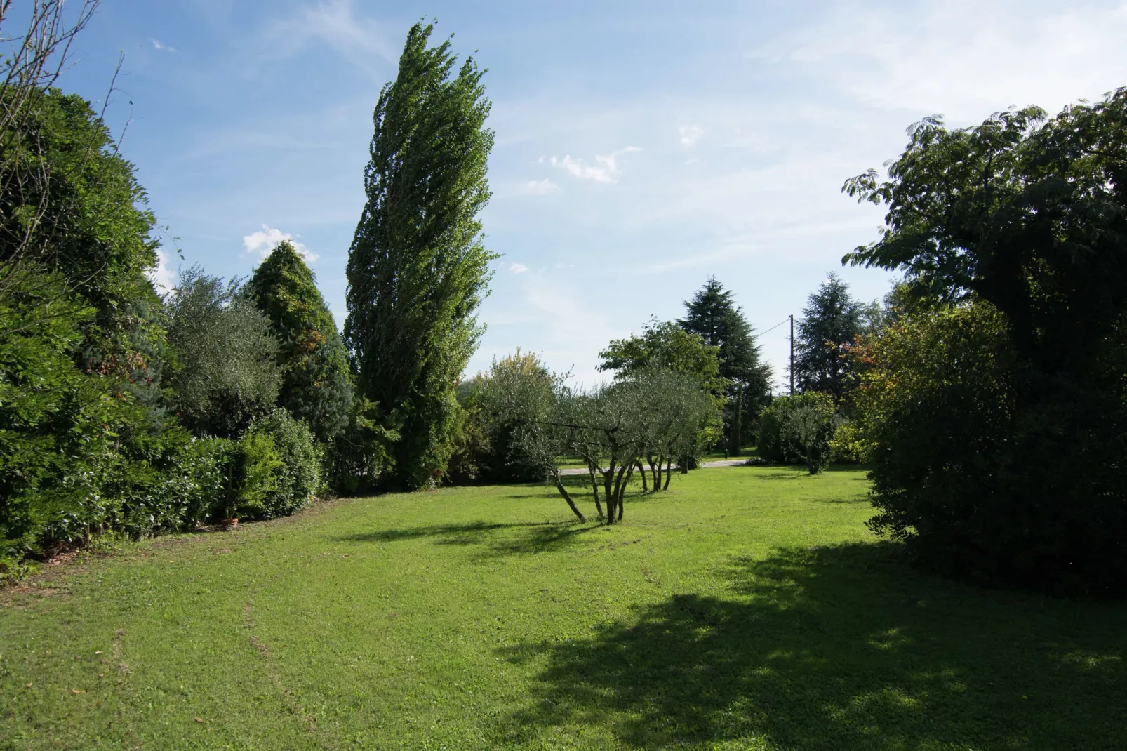 Feritoie-Gardens summer