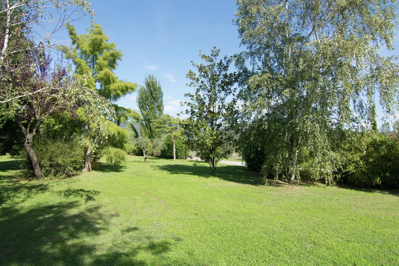 Feritoie-Gardens summer