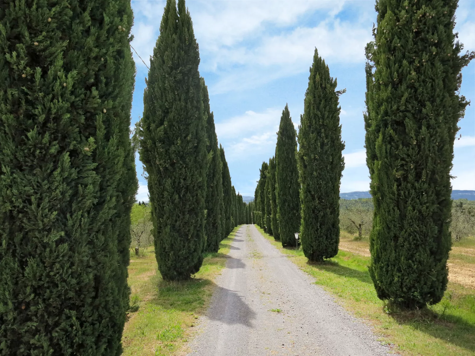 Le Palaie - 'Fienile'-Outside