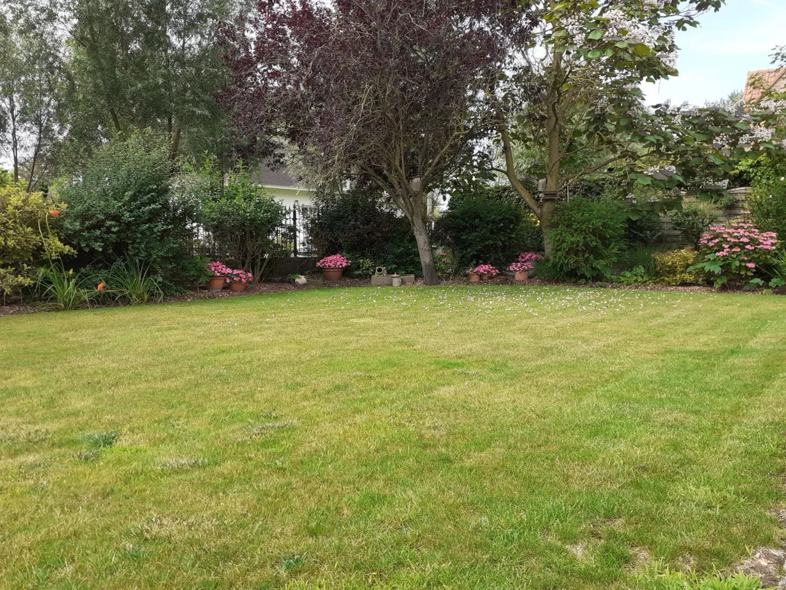 Villa Kievit with sauna and parking-Dehors