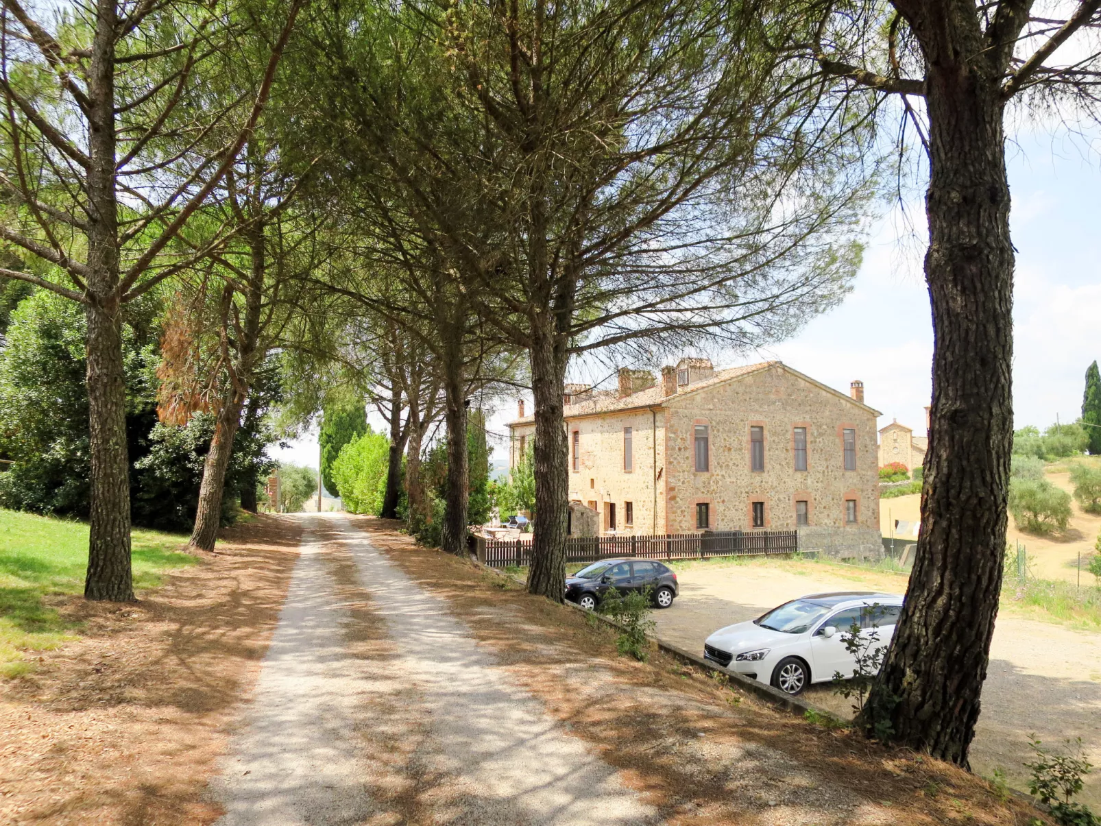 Violapo al Castello-Outside