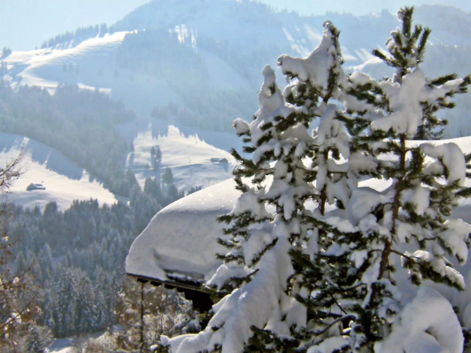 Chalet le Chamois-Outside
