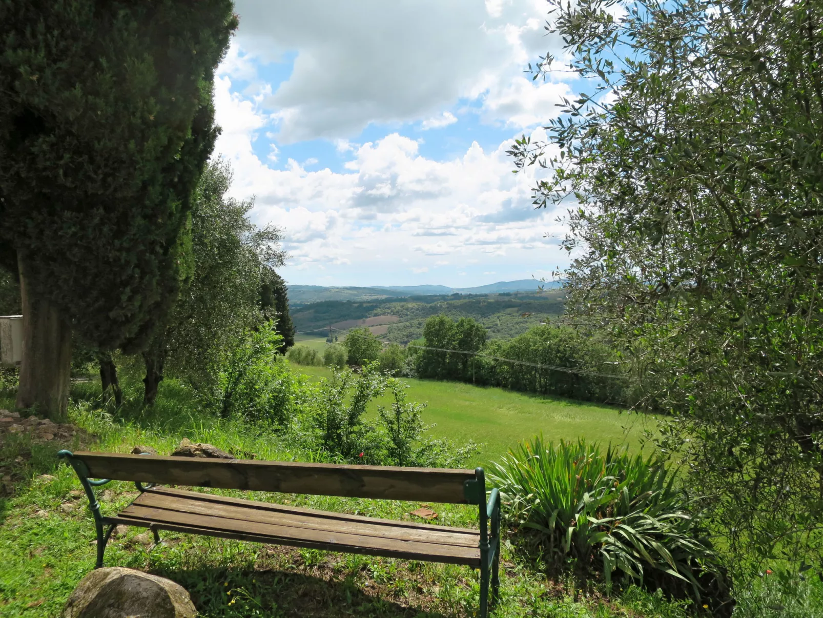 Violapo al Castello-Outside