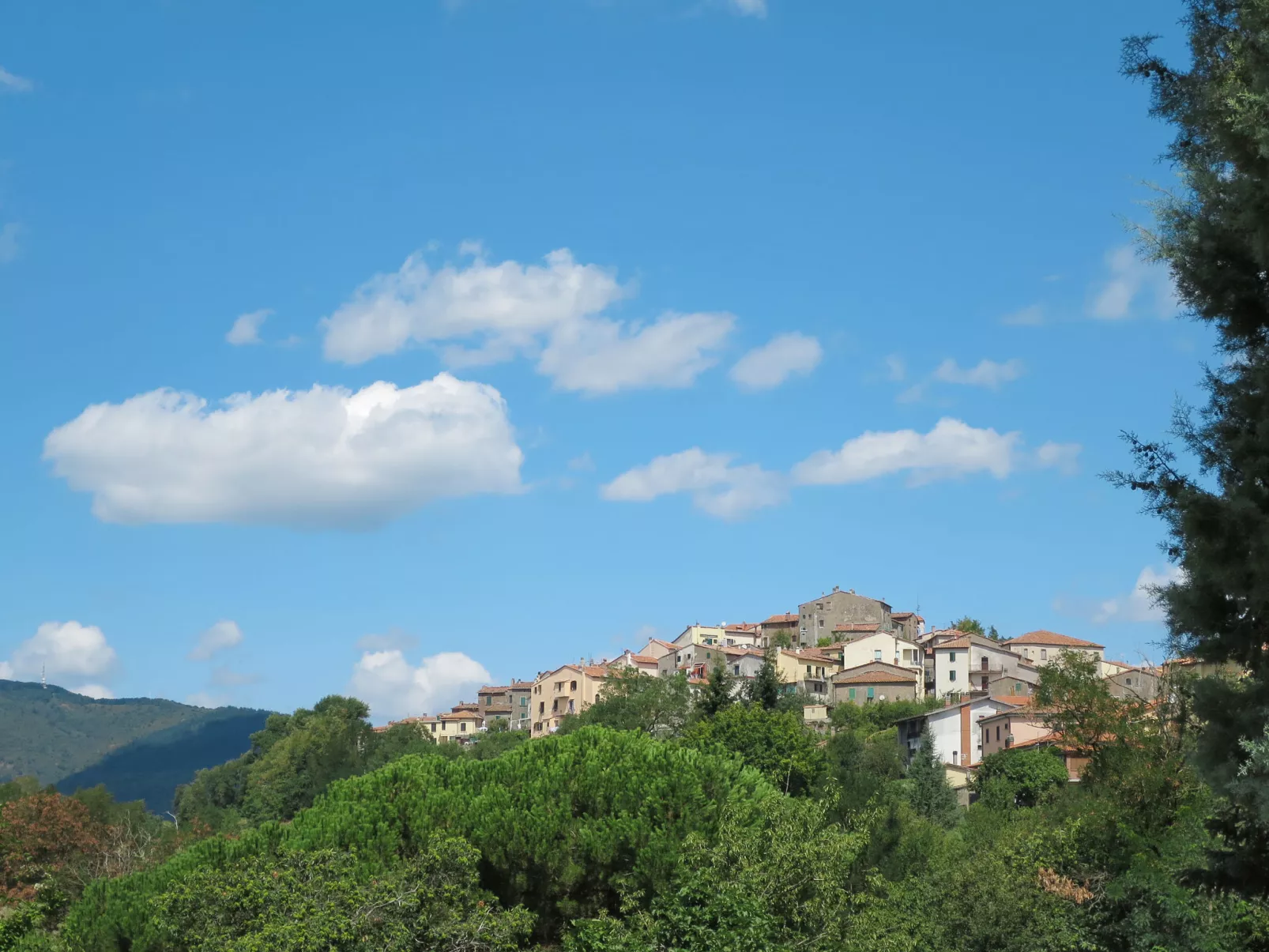 Dilia-Area