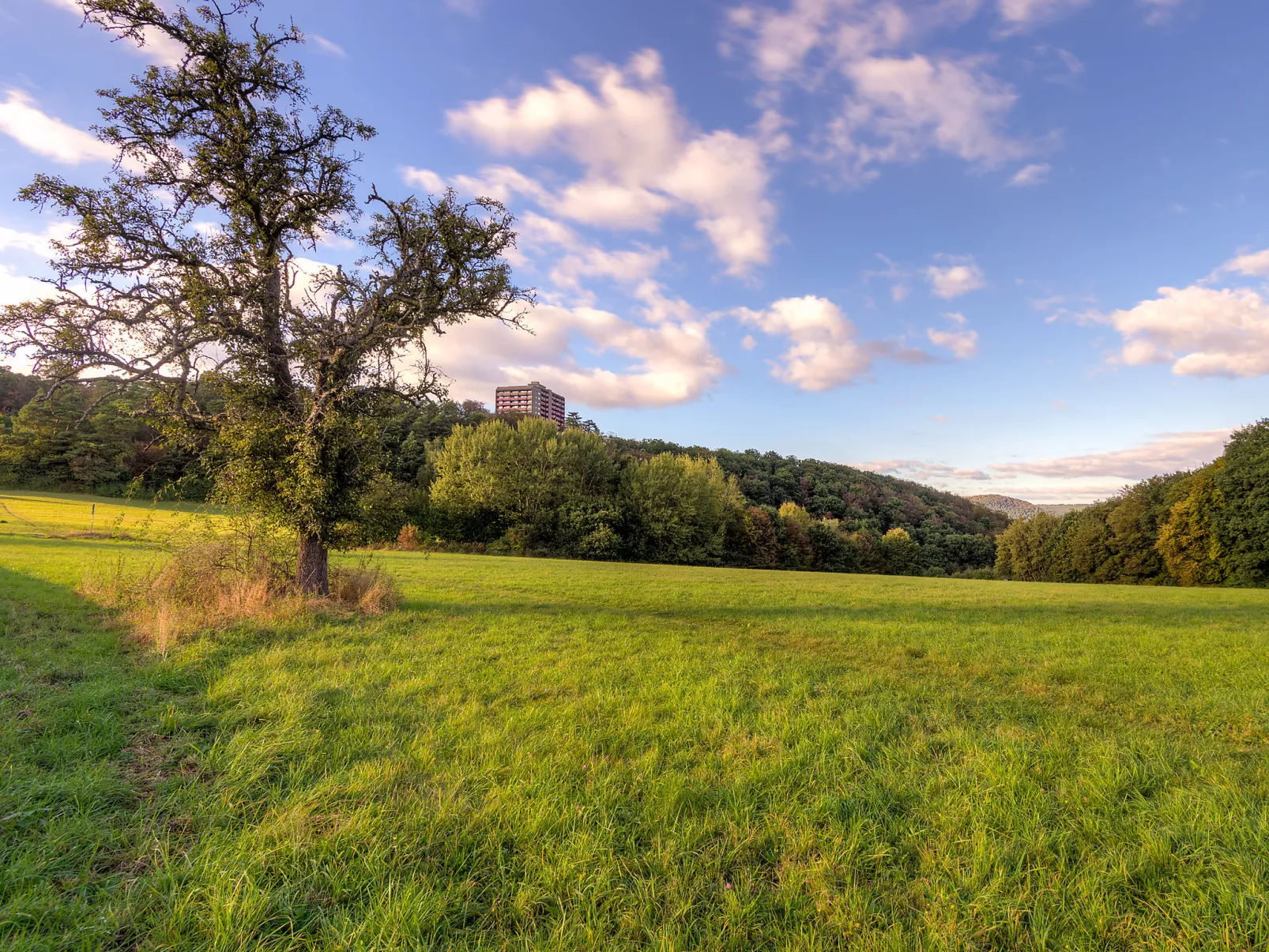 Rheinblick (A1208)-Outside