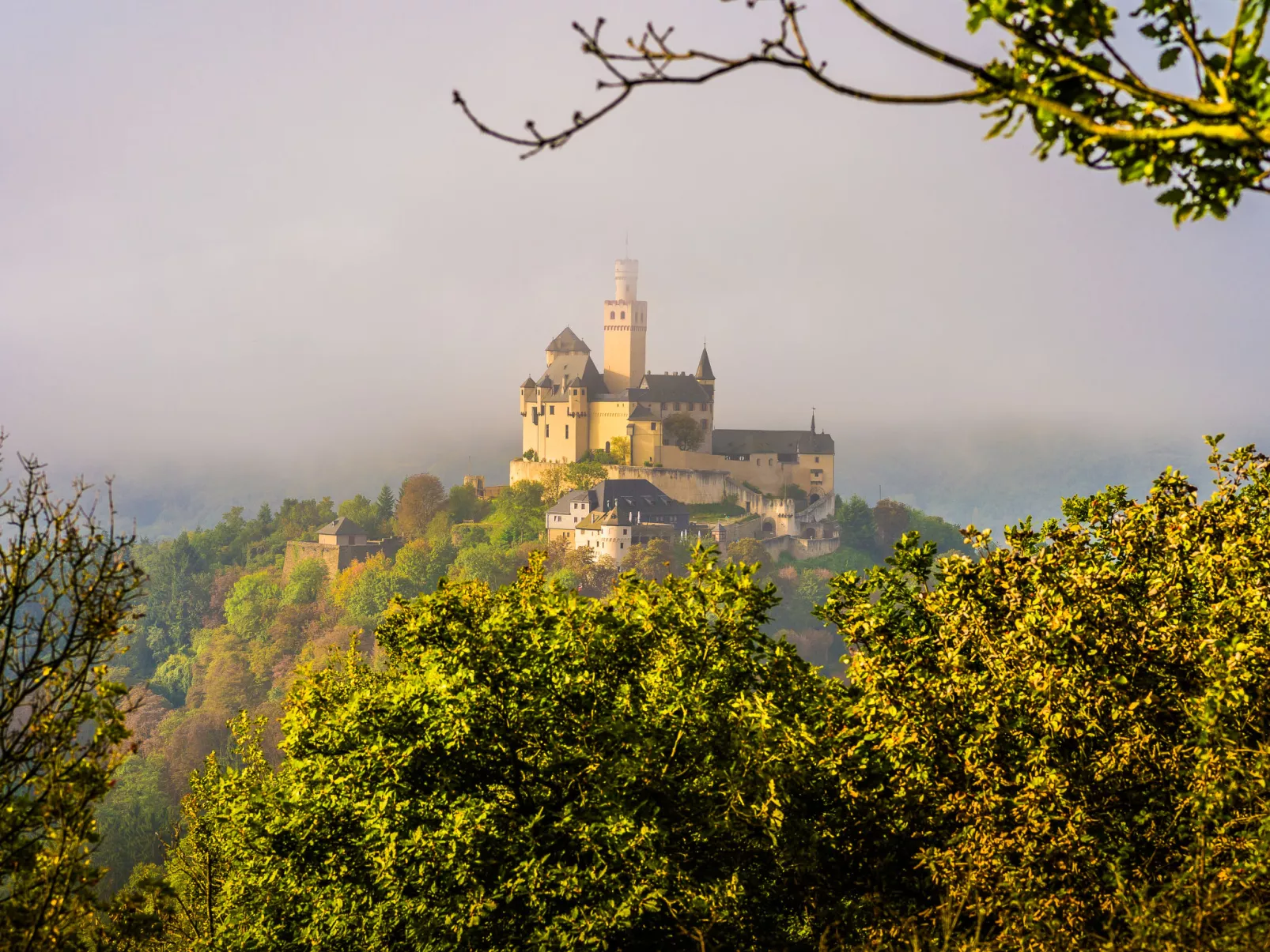 Rheinblick (A1208)-Area
