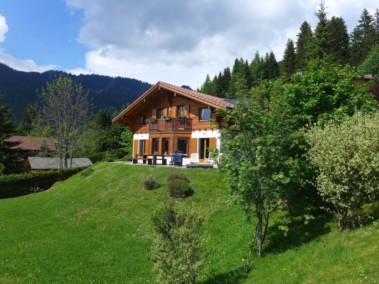 Chalet Petit Pont-Outside