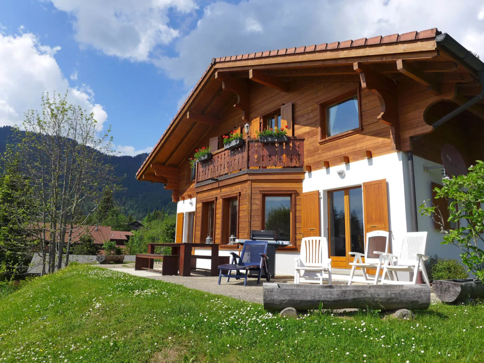 Chalet Petit Pont-Outside
