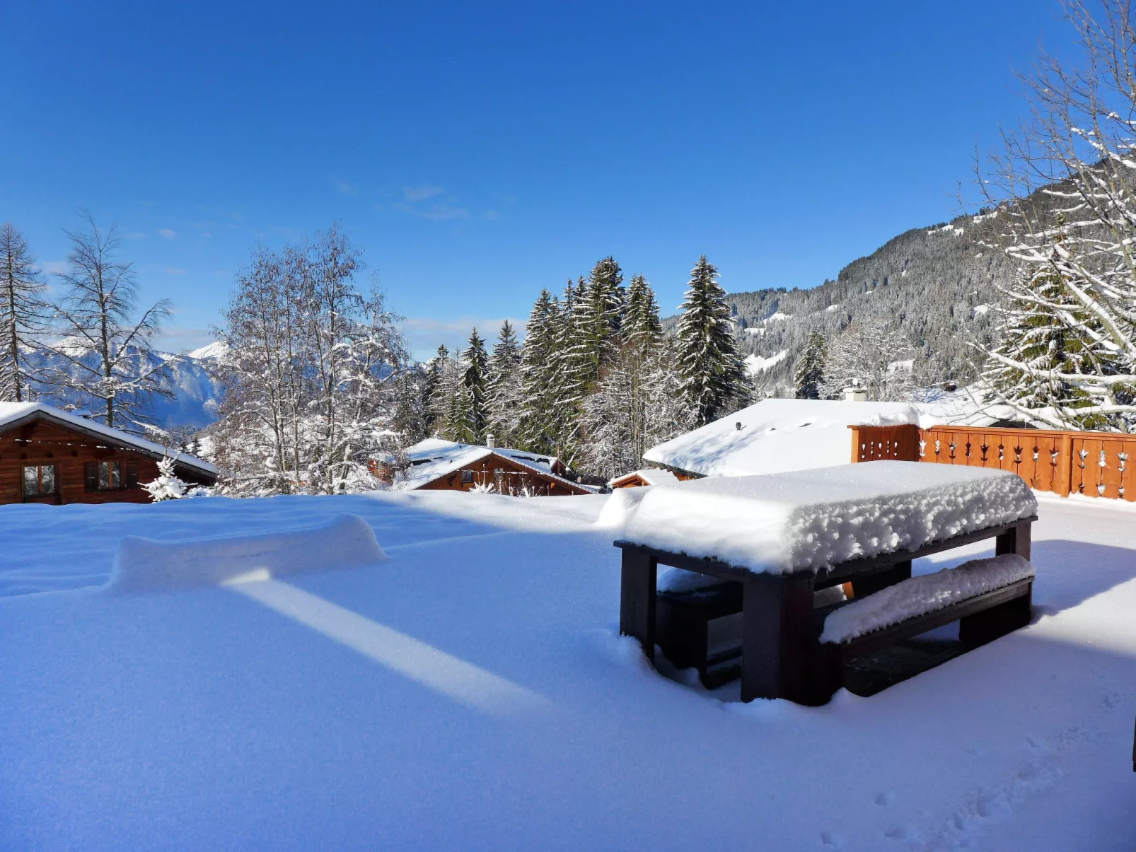 Chalet Petit Pont-Outside