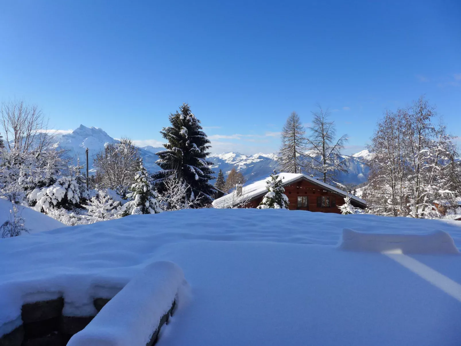 Chalet Petit Pont-Outside