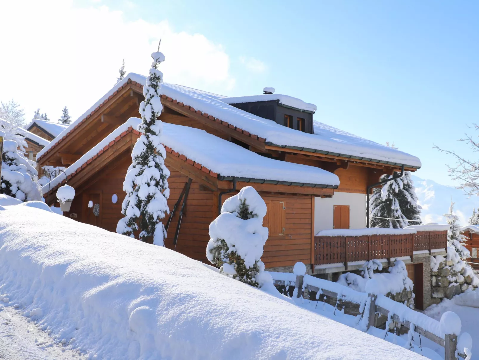 Chalet Petit Pont-Outside