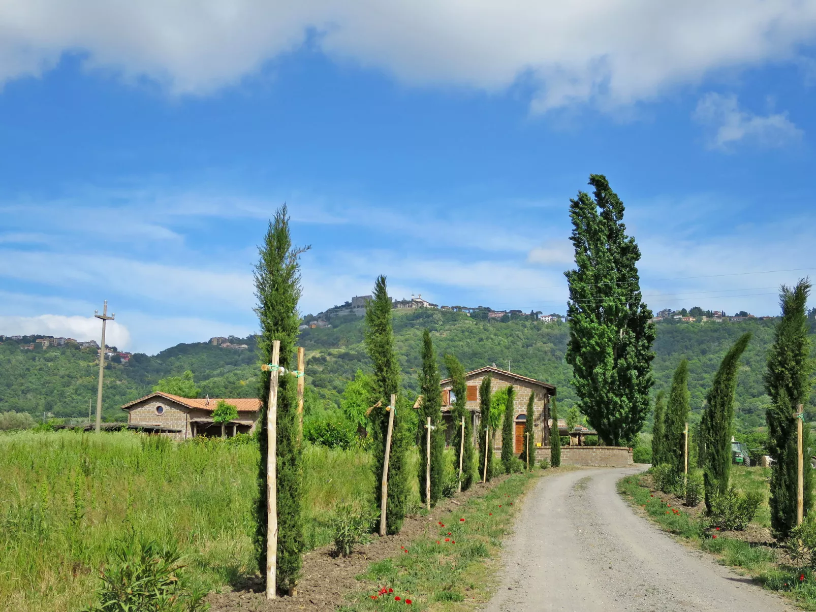 Casa Domenico n° 1-Outside