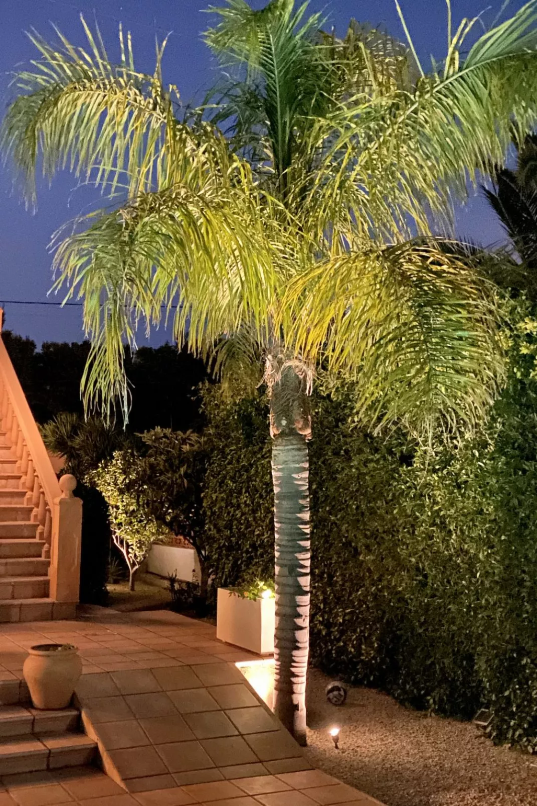 Harmony-Outside