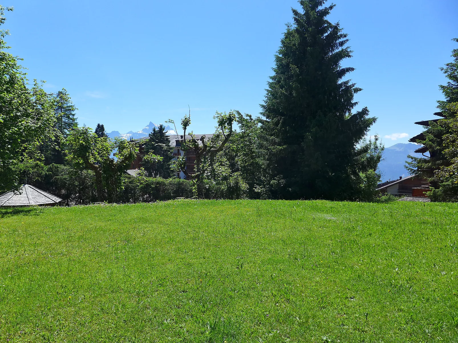 Le Miclivier B2-Outside