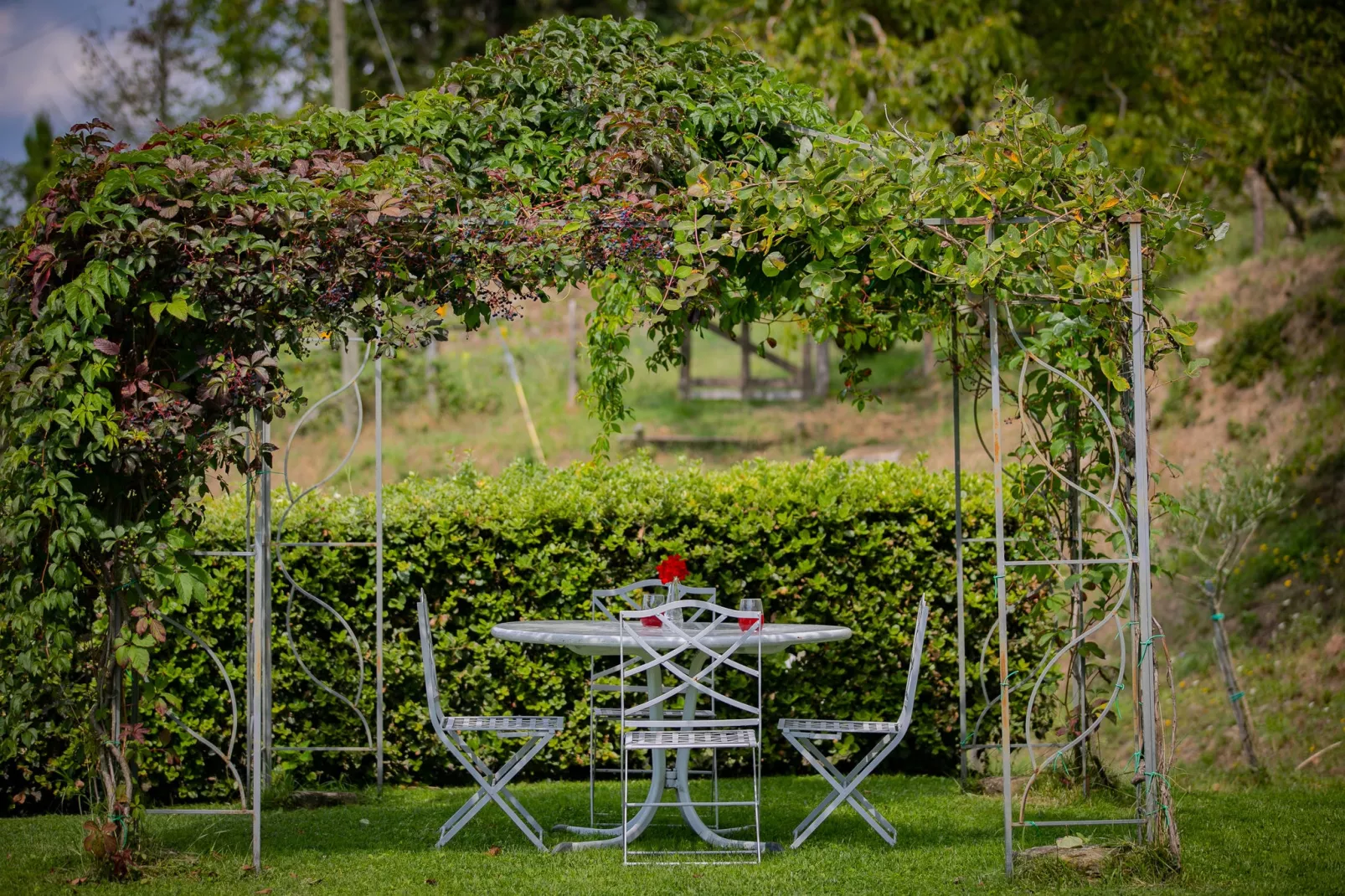 Villa Ginestra-Gardens summer