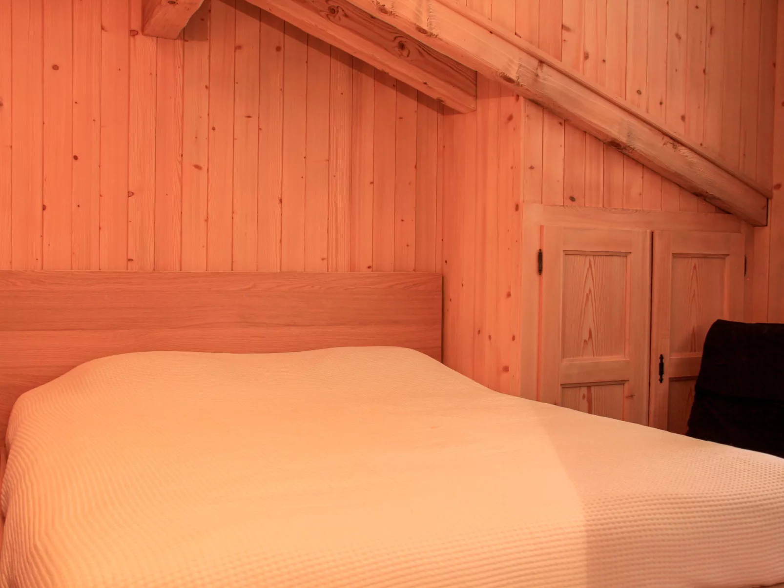 Muscardin 5/6-Inside
