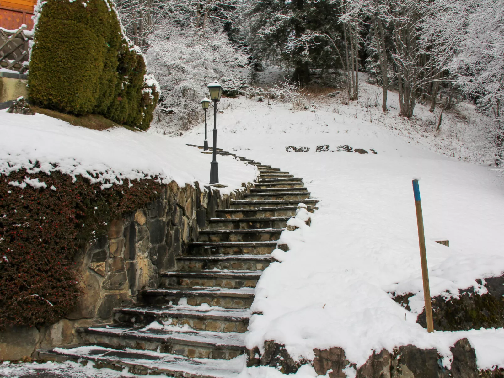 Muscardin 5/6-Outside