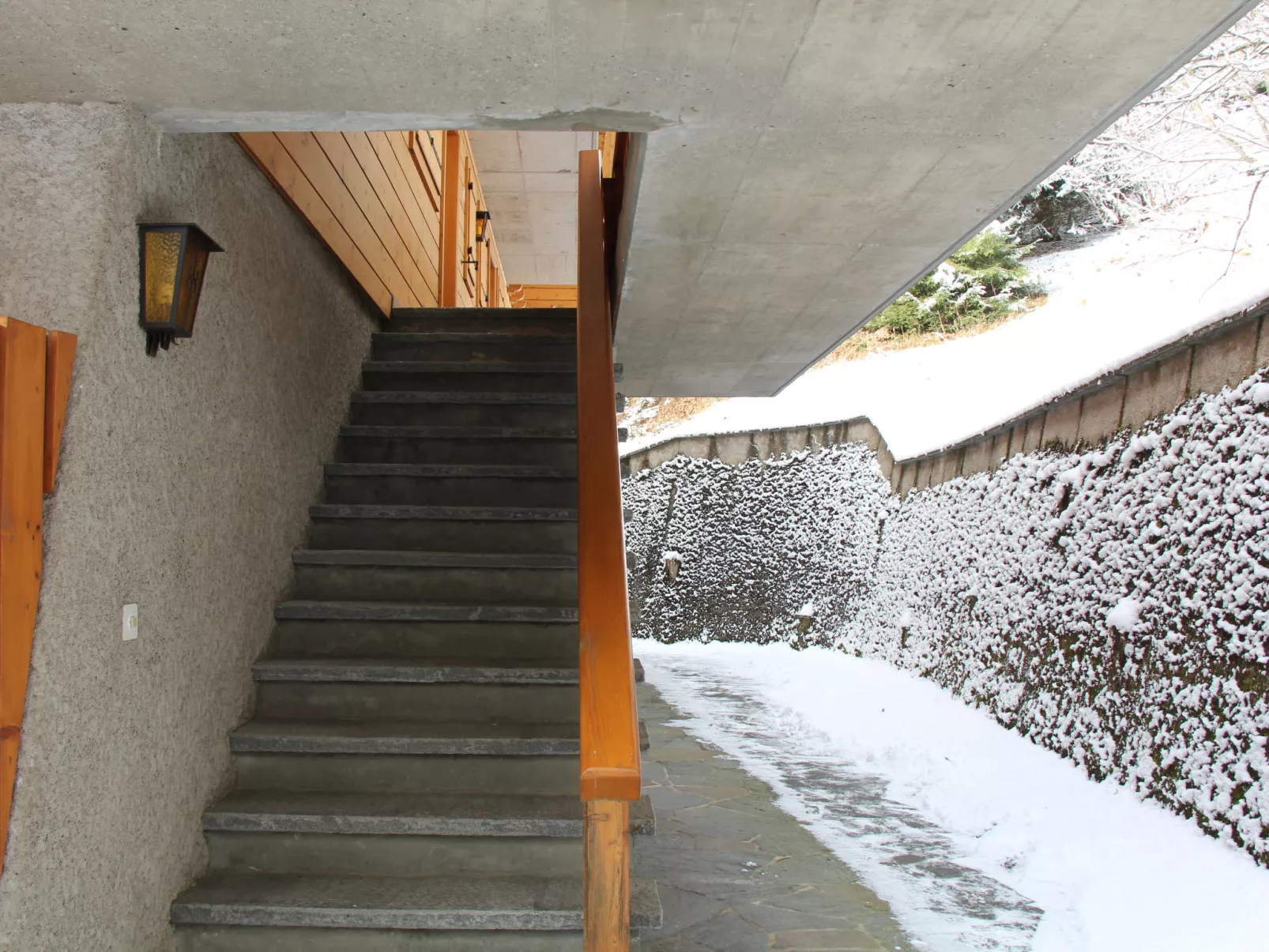 Muscardin 5/6-Outside