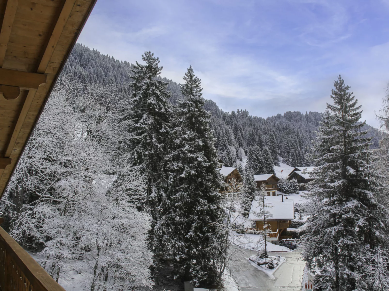 Muscardin 5/6-Outside