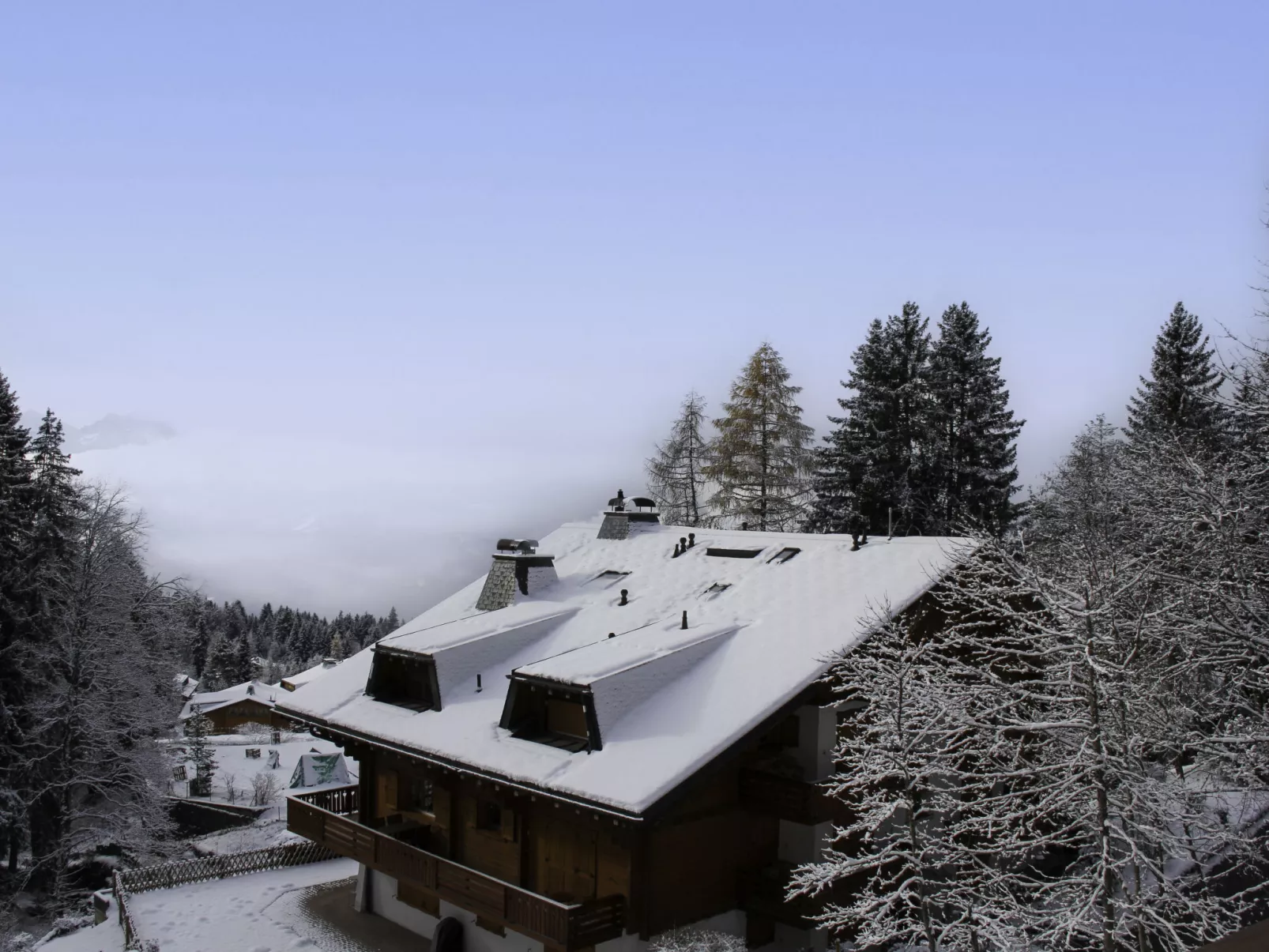 Muscardin 5/6-Outside