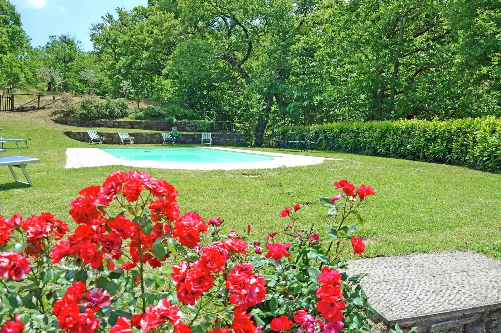 Villa Roseto-Pool