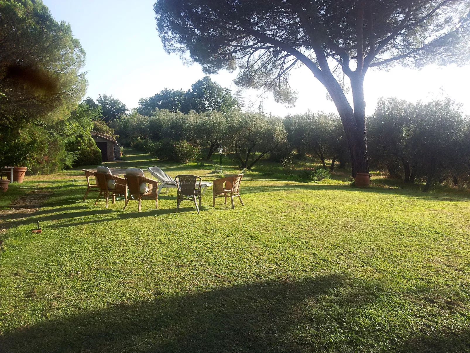 Podere Sant' Antonio-Outside
