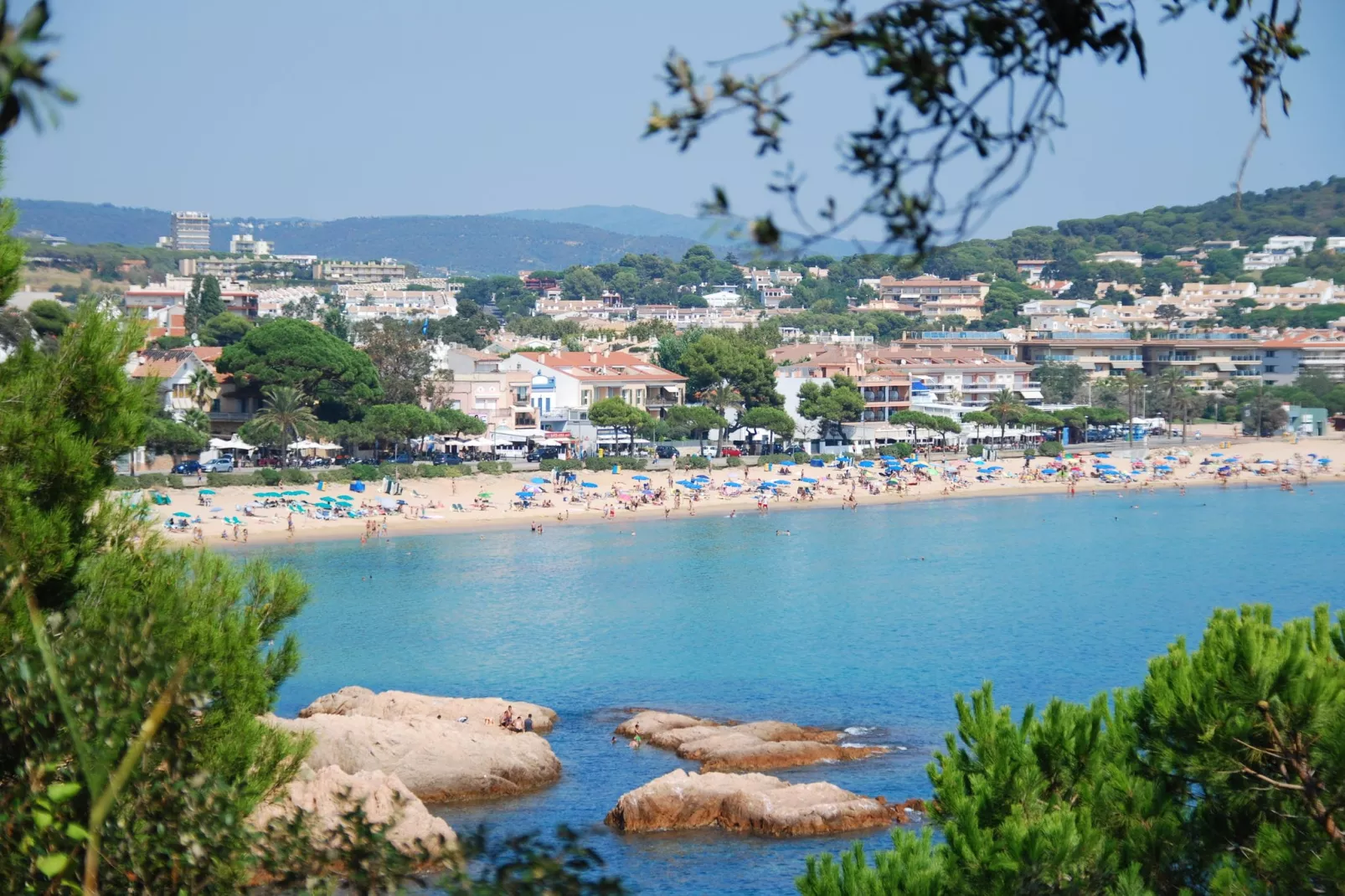 Montecarlo-Areas summer 5km