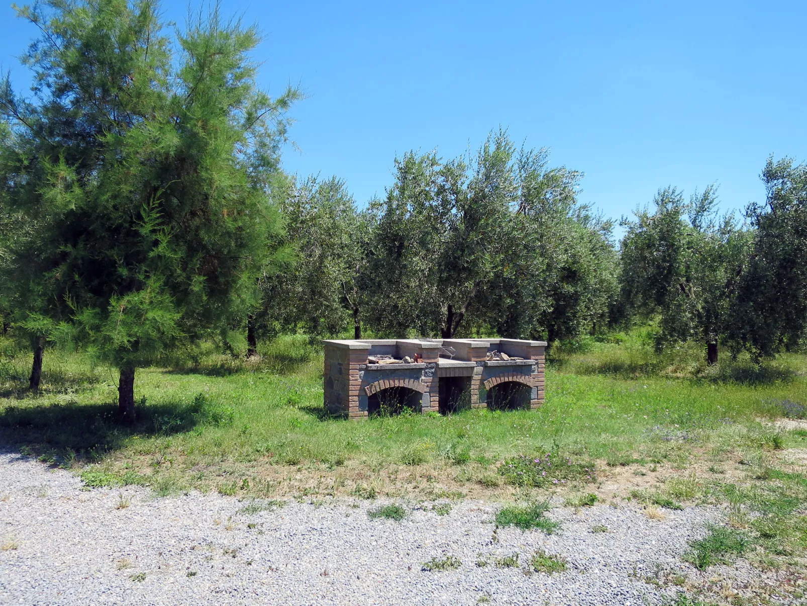 Il Podere del Lago (BOL253)-Dehors