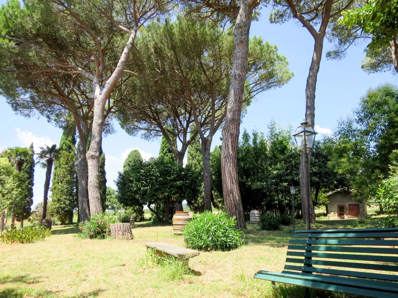Il Podere del Lago (BOL253)-Dehors