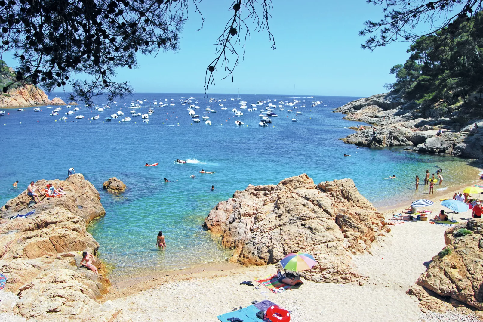 Montecarlo-Areas summer 20km