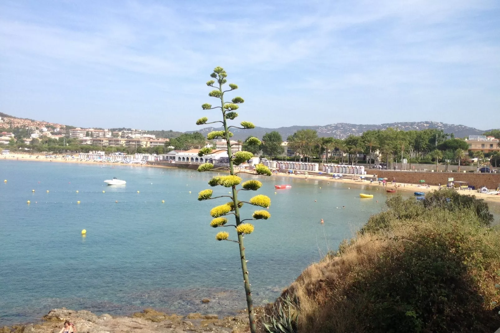 Montecarlo-Areas summer 5km