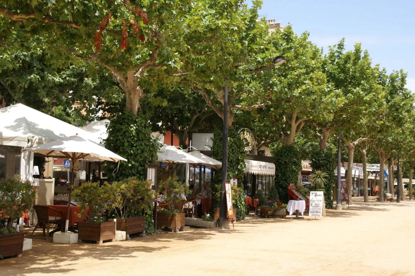 Montecarlo-Areas summer 1km